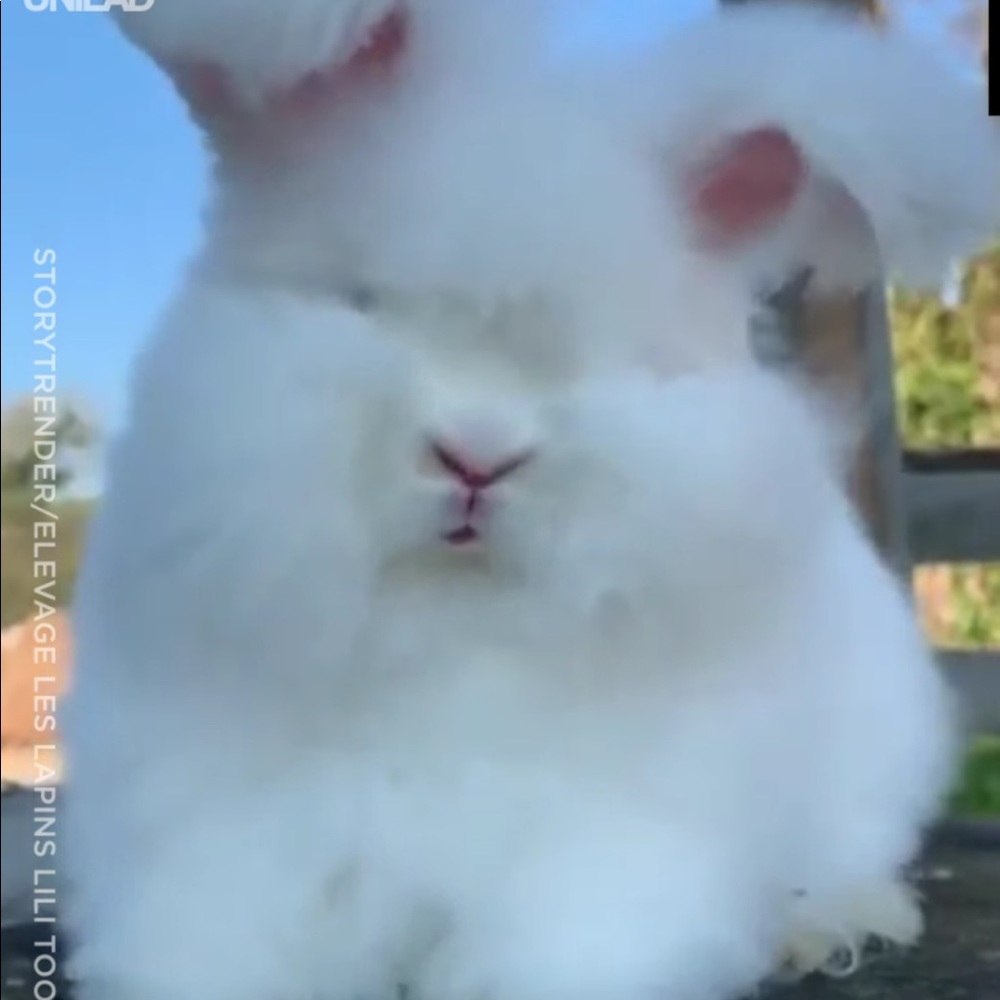 Meet your Posher, Sincere